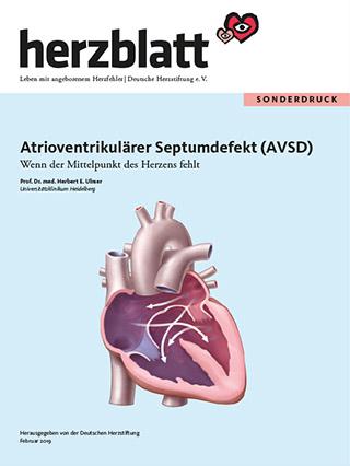 Angeborene Herzfehler | Herzstiftung