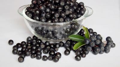 Gefäß mit Aroniabeeren. Was nützt das Superfood?