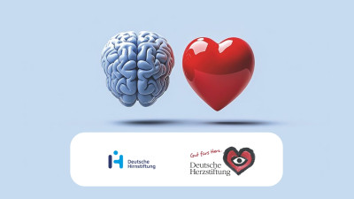 Logos der Deutschen Herzstiftung und Hirnstiftung