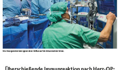 Cover des Herzblatt Artikels