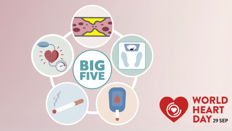 Grafik mit den 5 größten Risikofaktoren fürs Herz: Rauchen, Diabetes, Übergewicht, Bluthochdruck und hohe Cholesterinwerte