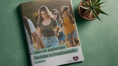 Titelbild von dem EMAH-Ratgeber