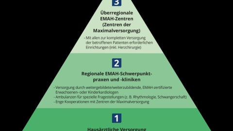 Schematische Darstellung des Versorgungsmodells für EMAH in Deutschland