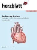 SD-Kawasaki-Warenkorb