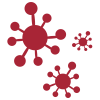 Bild vom Virus